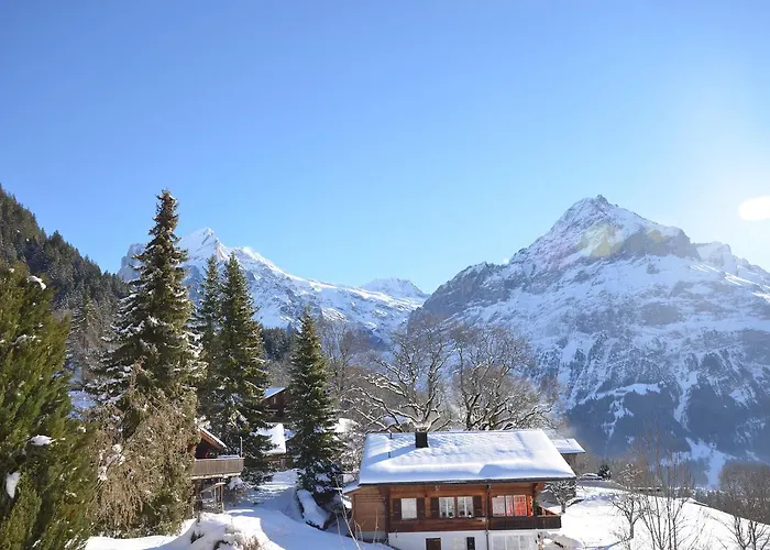 Lejlighed Paradise - Griwa Rent Ag Grindelwald