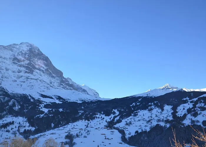 Paradise - Griwa Rent Ag Lejlighed Grindelwald