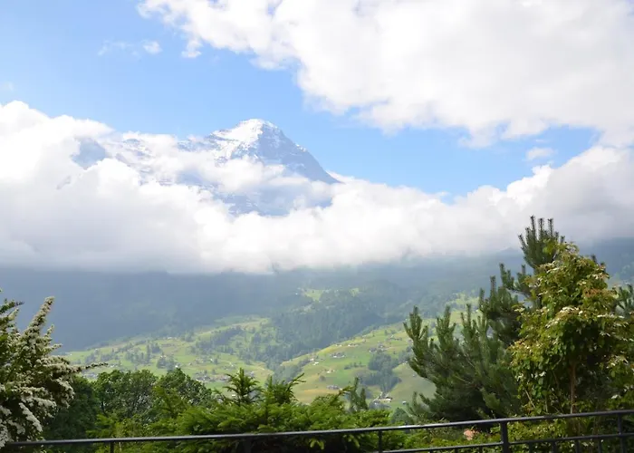 Paradise - Griwa Rent Ag